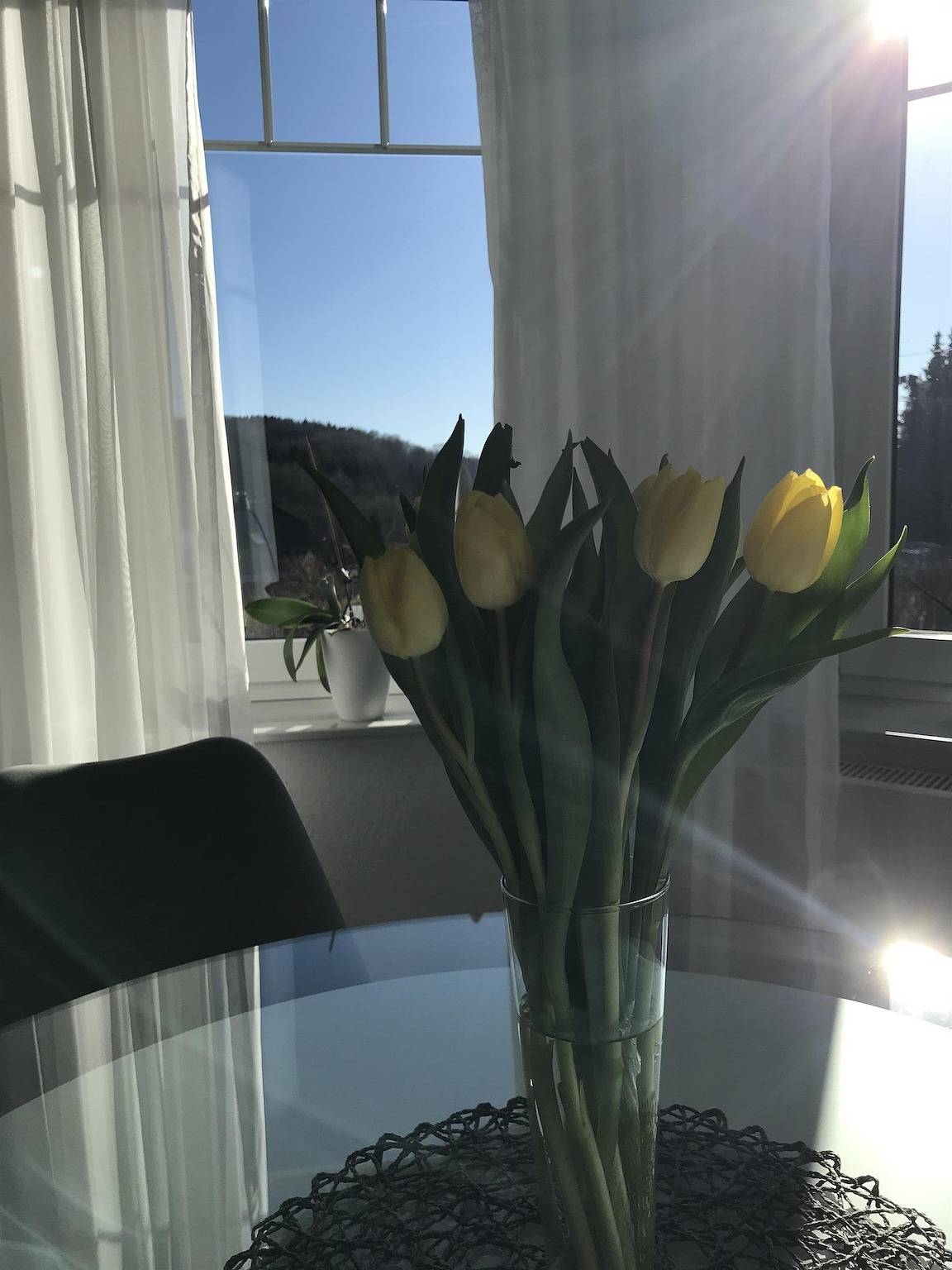 Ganze Ferienwohnung, Ferienwohnung Benner in Seck, Westerwald