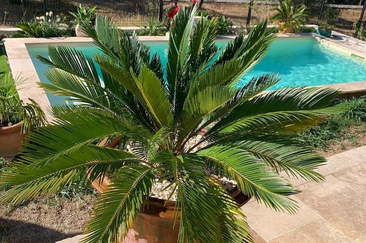 Maison de vacances pour 6 personnes, avec Jardin