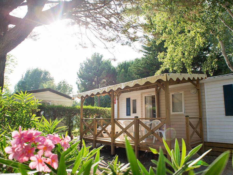 Camping Abri de Camargue - Mobile home 6 persons - Mobil-home Select Tv Lv Clim Wifi - 3 bedrooms - sleeps 6 in Le Grau-du-Roi, Côte d'Améthyste