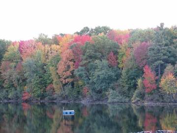 Camping for 2 Guests in Michigan, USA, Picture 1