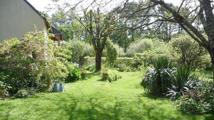 Alojamiento y desayuno para 2 personas, con sauna además de vistas y jardín - 1