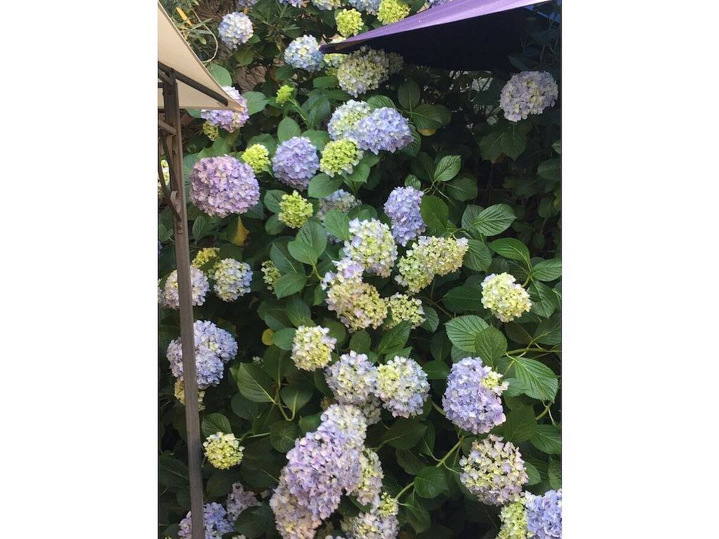 Ferienrustico „Auf Burg“ in Brione sopra Minusio, Tessiner Alpen