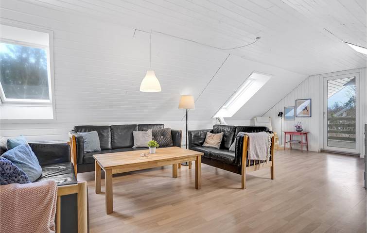 Ferienhaus für 16 Personen, mit Pool und Whirlpool sowie Terrasse und Sauna, mit Haustier in Djursland - 4