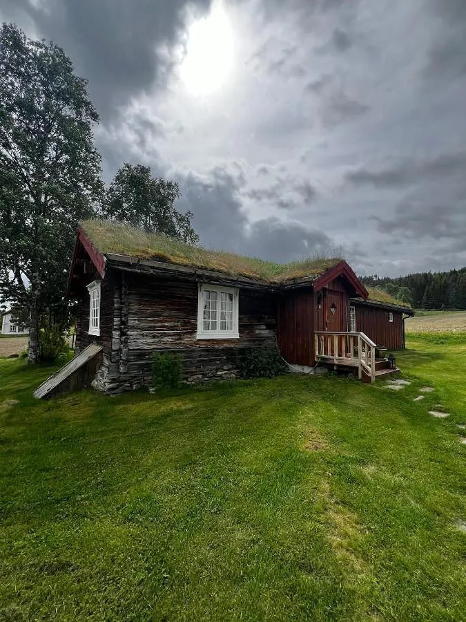 Ferienhaus für 4 Personen, mit Terrasse, mit Haustier - 1