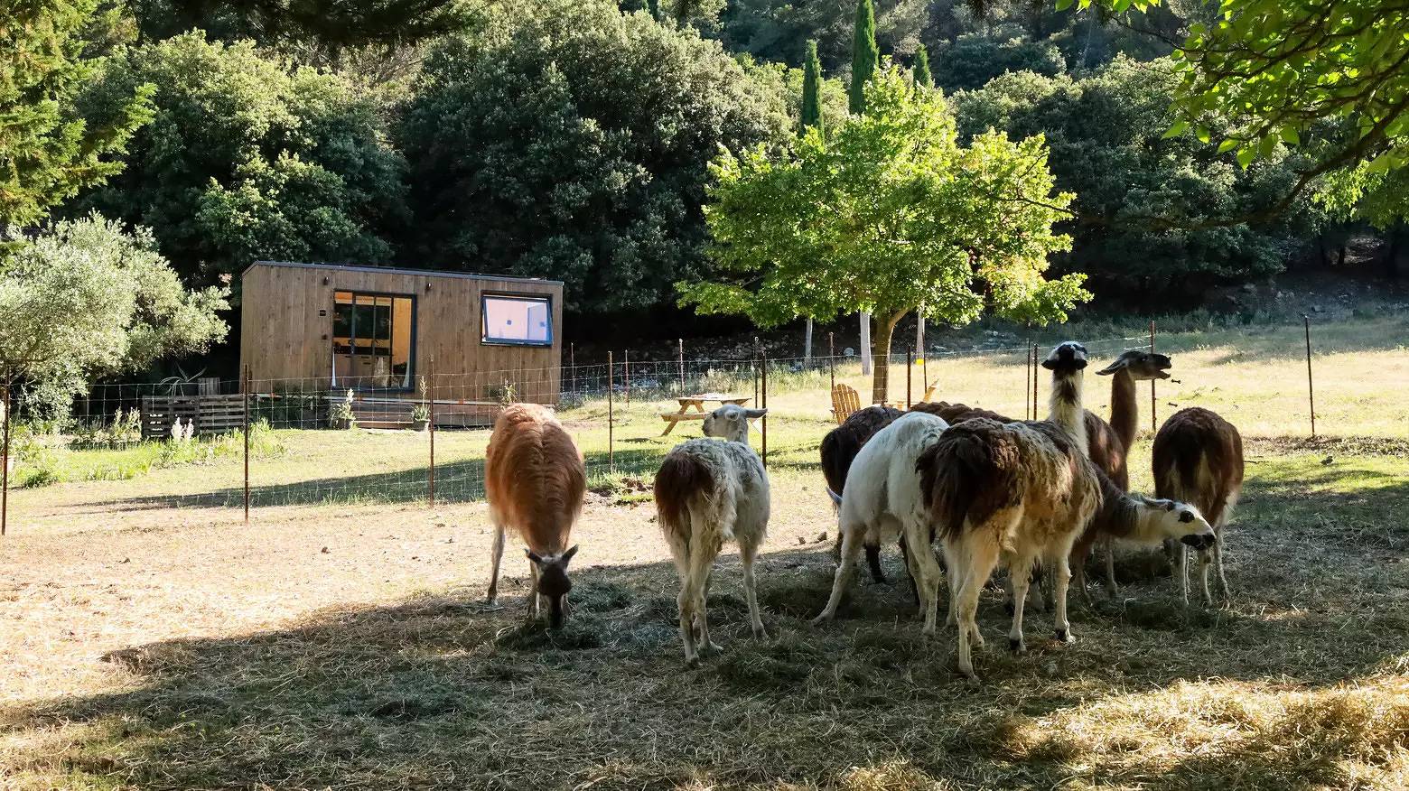 Apartamento entero, Casa pequeña - 2 adultos + 2 niños hasta 12 años + 1 bebé in Le Barroux, Parque natural regional del Mont Ventoux