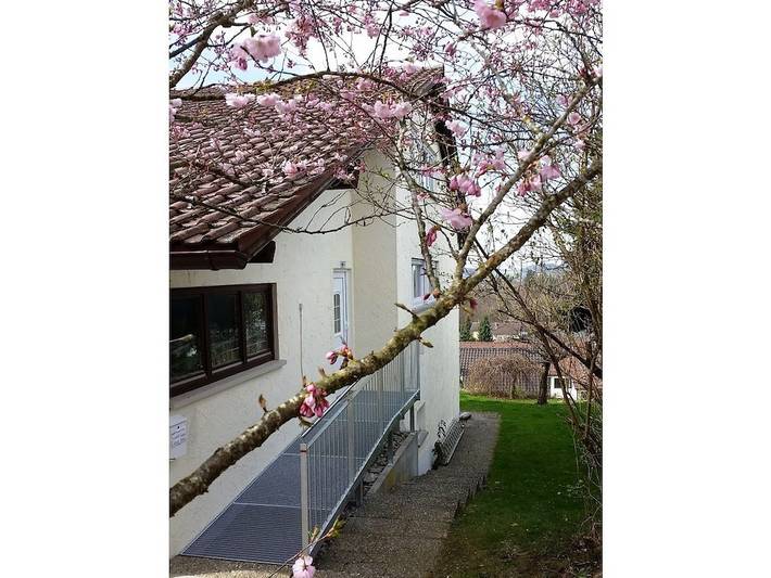 Ferienhaus für 6 Personen, mit Garten, mit Haustier in Oberschwaben - 3