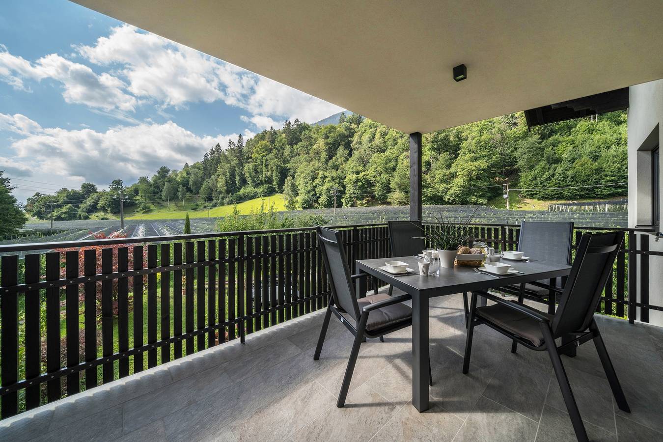 Ganze Wohnung, Ferienwohnung "Wiesgut Jonagold" mit Bergblick, privater Terrasse und Wlan in Tisens, Nonsberggruppe