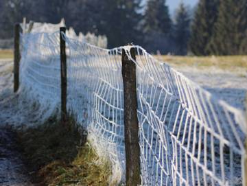 Bauernhof für 3 Personen in Alberschwende, Bodensee (Österreich), Bild 2