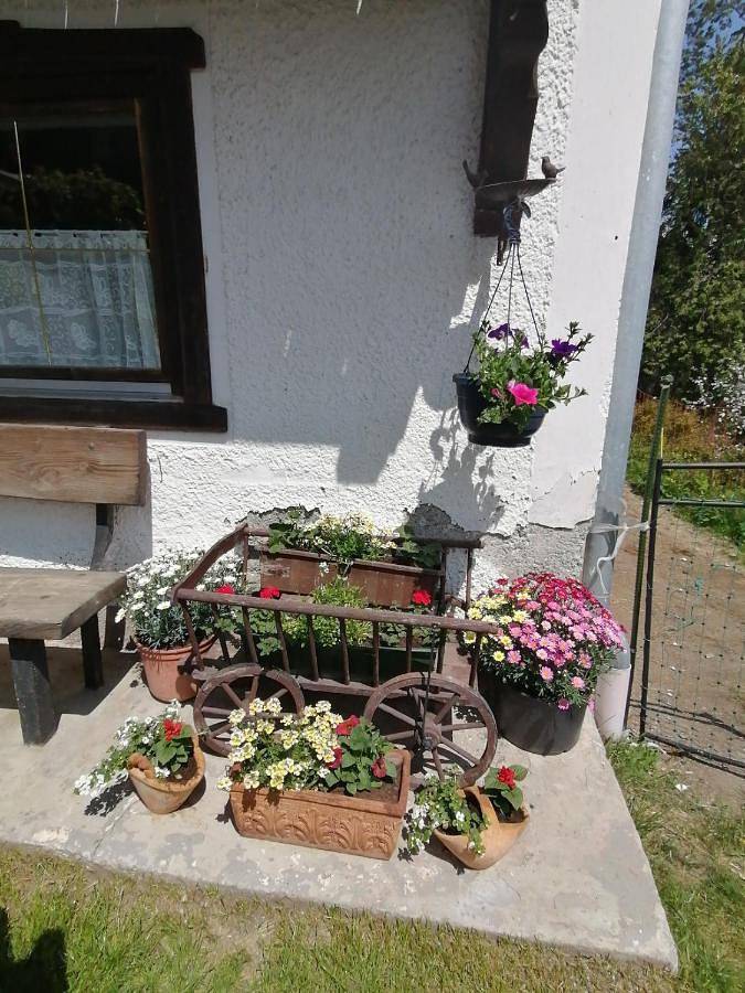 Ganze Wohnung, Ferienwohnung Riedbach in Stubaier Alpen, Mutters