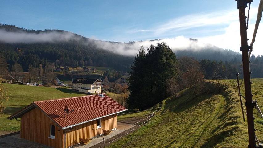 Bauernhof für 4 Personen, mit Terrasse und Garten sowie Sauna, mit Haustier im Nordschwarzwald