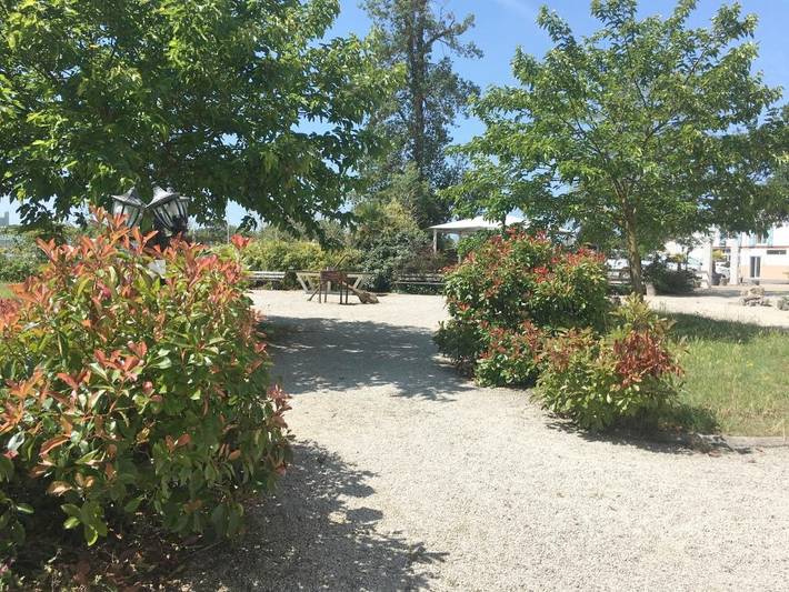 Hôtel pour 2 personnes, avec terrasse et jardin, animaux acceptés à Les Mathes - 3