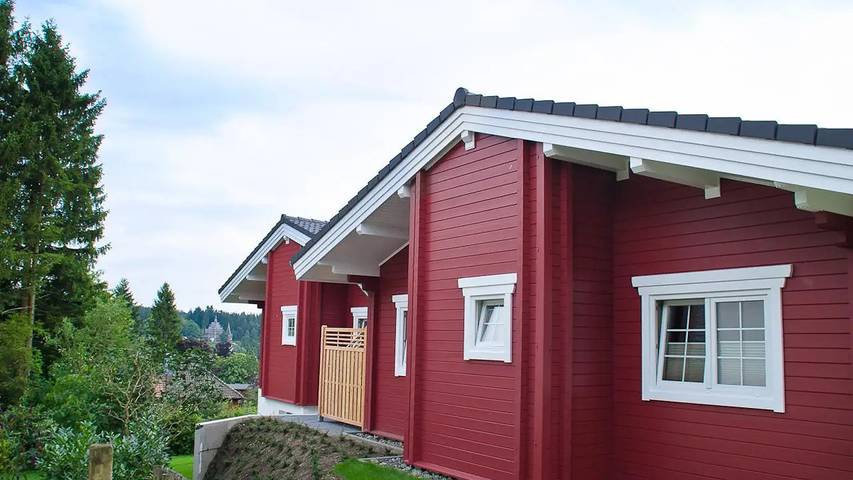 Ferienhaus für 4 Personen, mit Balkon und Pool sowie Sauna im Harz - 2