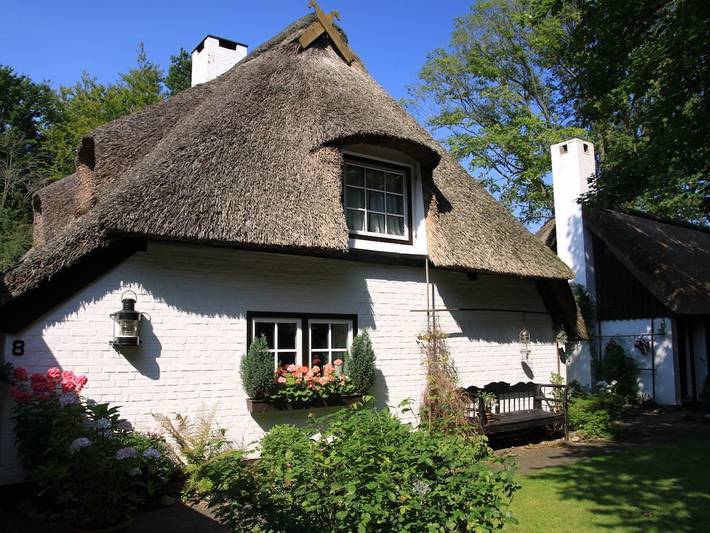 Ferienhaus für 8 Personen, mit Garten und Sauna in Damp