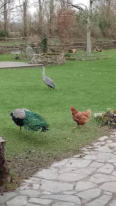 Gîte pour 4 personnes, avec terrasse à Vue d'Esprit - 2