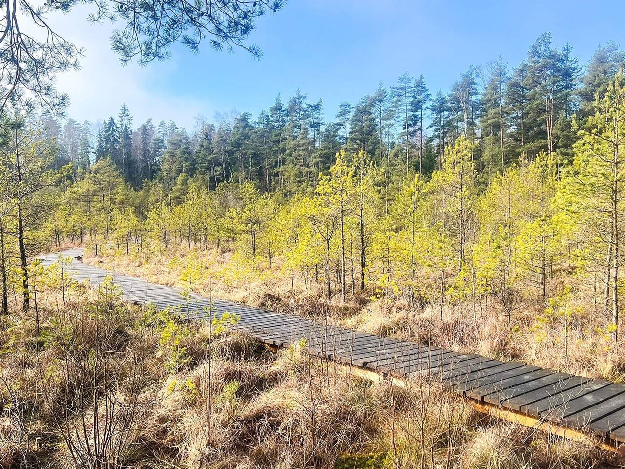 Familjejordbruk nära Forsheda in Jönköpings län