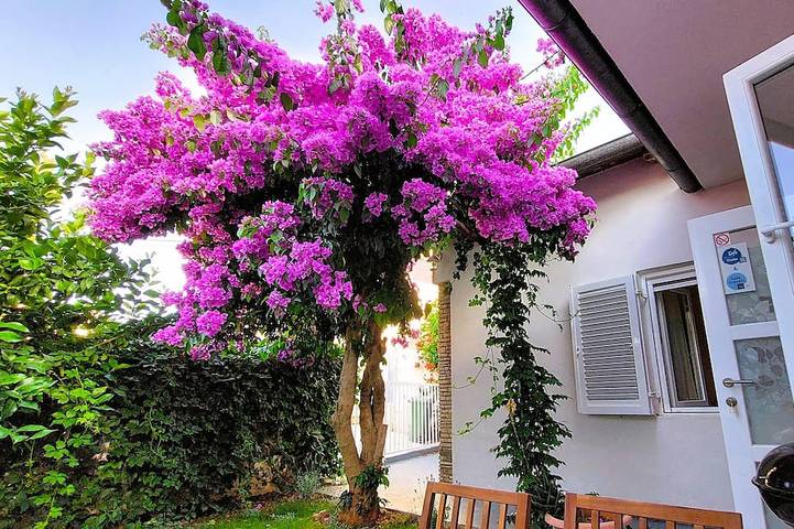 Maison de vacances pour 4 personnes, avec jardin - 1