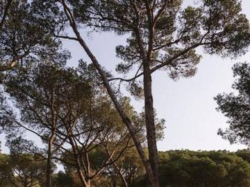 Camping for 2 People in Sorbas, Almería Province, Photo 4