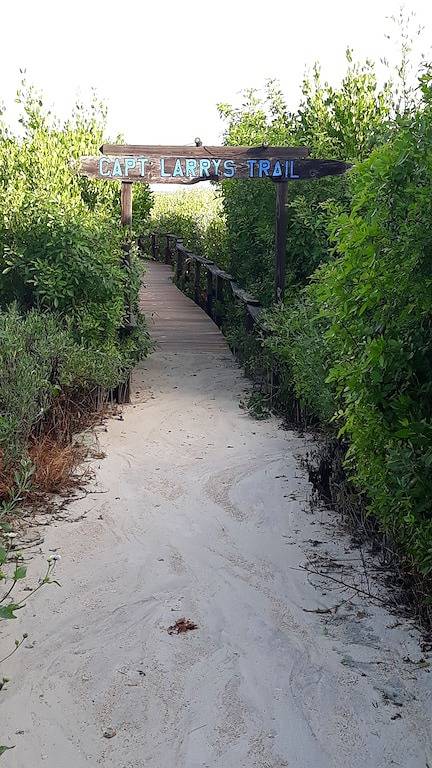 Affordable luxury yacht charters. in Key Largo