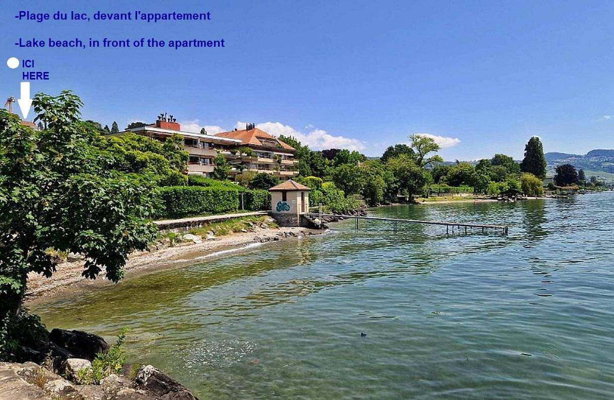Appartement entier, Two-Bedroom Apartment in Pully, Lac Léman