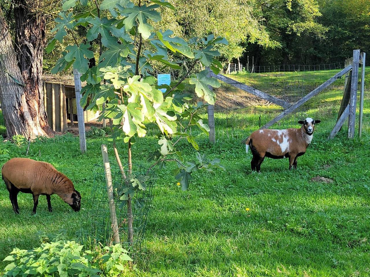 Le Thiellet in Saint-Usuge, Région de Louhans
