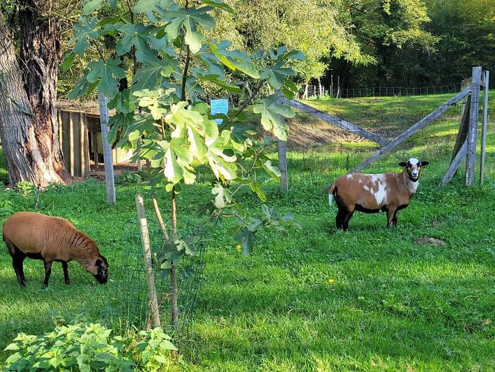 Le Thiellet in Saint-Usuge, Louhans und Umgebung