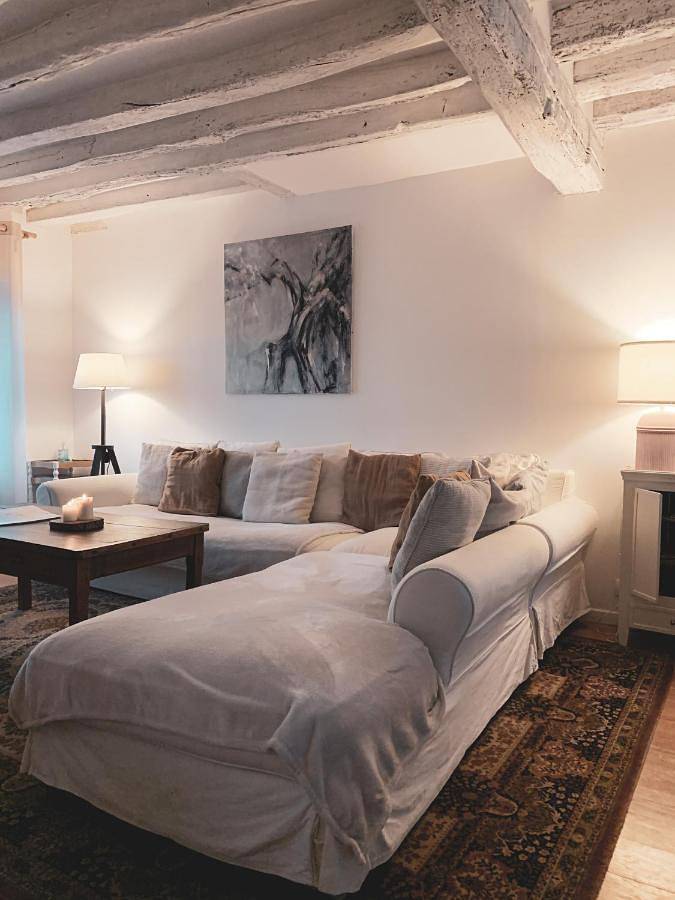 Location de vacances pour 10 personnes, avec vue et jardin, animaux acceptés à Boissise-la-Bertrand - 3