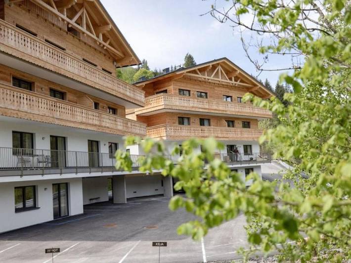 Ganze Ferienwohnung, Ski-In/Ski-Out Franz Johann by Schladming-App. - Appartement Franz Johann in Pichl-Preunegg, Schladming-Dachstein