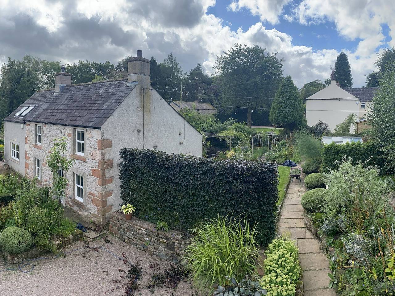 Yew Tree in Lake District