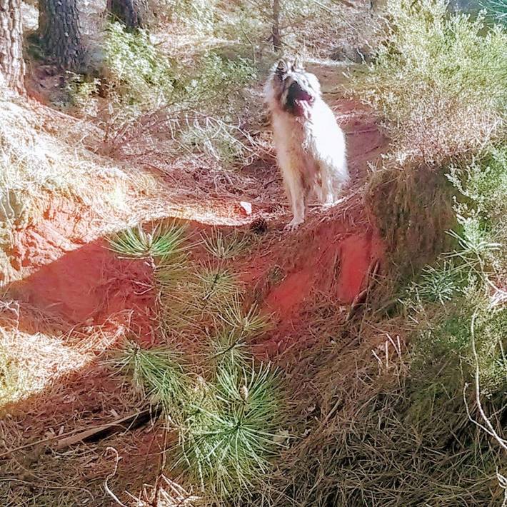 Location de vacances pour 4 personnes, avec jacuzzi ainsi que terrasse et jardin, animaux acceptés à Villars - 3