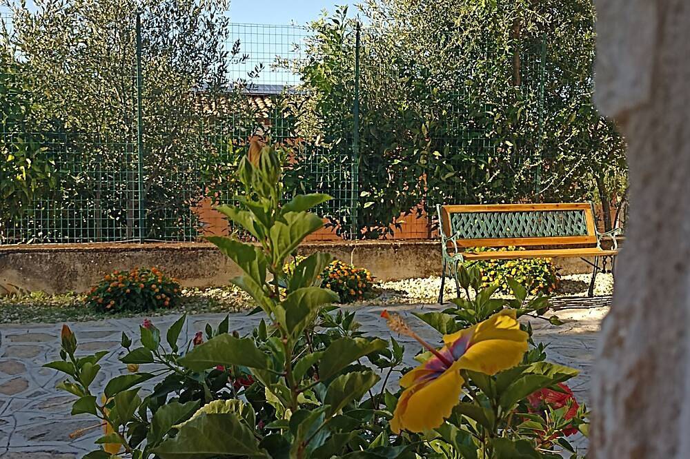 Cilento Mare Houses Brand new two-room apartments with furnished patio in Marina di Camerota, Camerota