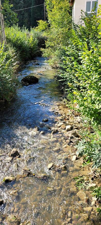 Appartement entier, Le Bohème in Ravilloles, Parc naturel régional du Haut-Jura