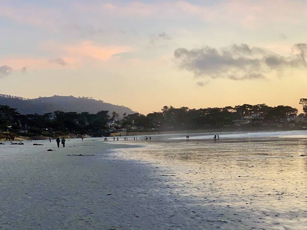 Modern 1Br Carmel Escape: Dog Friendly En-suite, Valley Views & Mins to Downtown in Monterey County