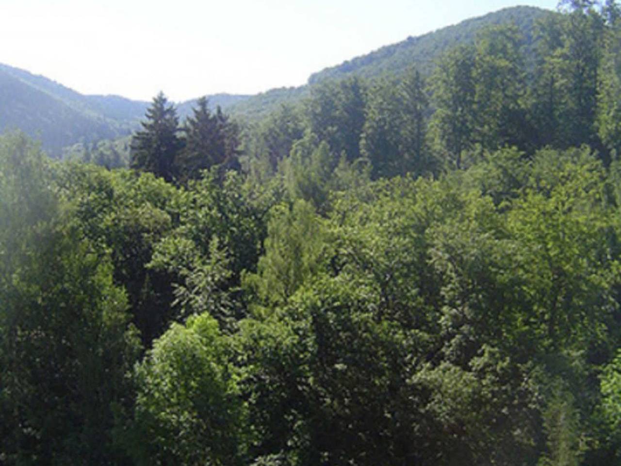 Ganze Ferienwohnung, Appartement Scharf Baumwurzelpfad - App. Baumwurzelpfad Turm 1, Etage 5, Nr. 3034 in Bad Harzburg, Harzvorland