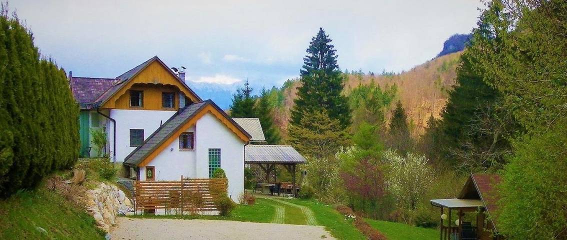 Gîte pour 6 personnes, avec jardin ainsi que piscine et vue, animaux acceptés à Bled - 2