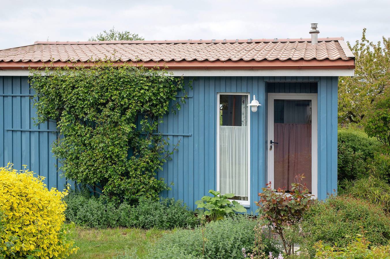 Ferienhaus "Möve Aba Bungalow 67" mit privater Terrasse und Wlan in Rerik, Neubukow-Salzhaff