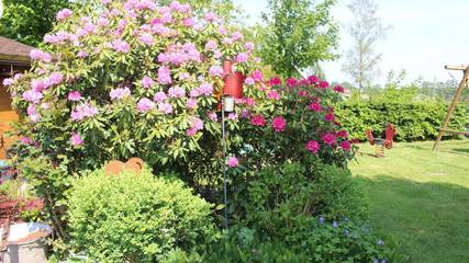 Ferienwohnung für 2 Personen in Walsrode, Landkreis Heidekreis, Bild 4