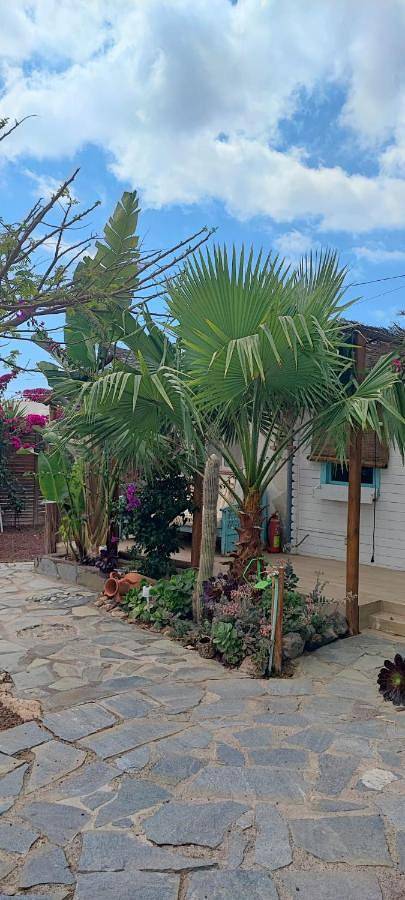 Bungalow für 2 Personen, mit Terrasse und Garten in Teneriffa Süd - 3