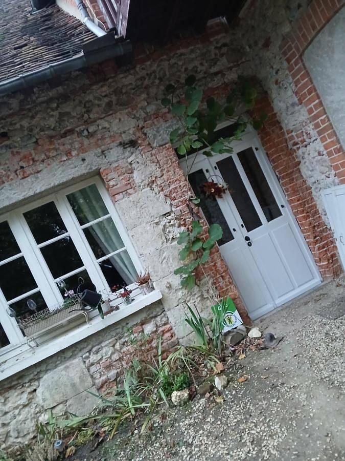 Location de vacances pour 9 personnes, avec jardin ainsi que bassin pour enfant et vue, animaux acceptés à Ouzouer-sur-Trézée - 4