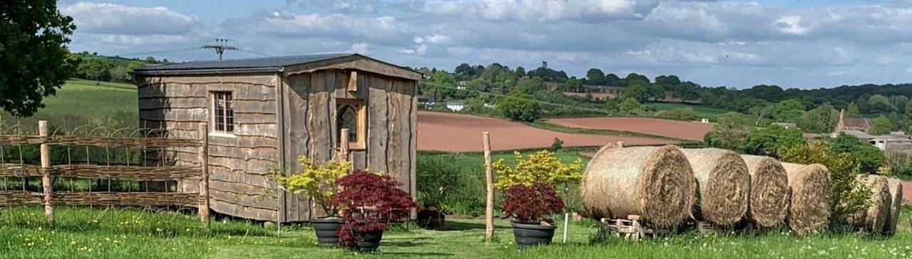 The Queen Bee Cabin in Herefordshire