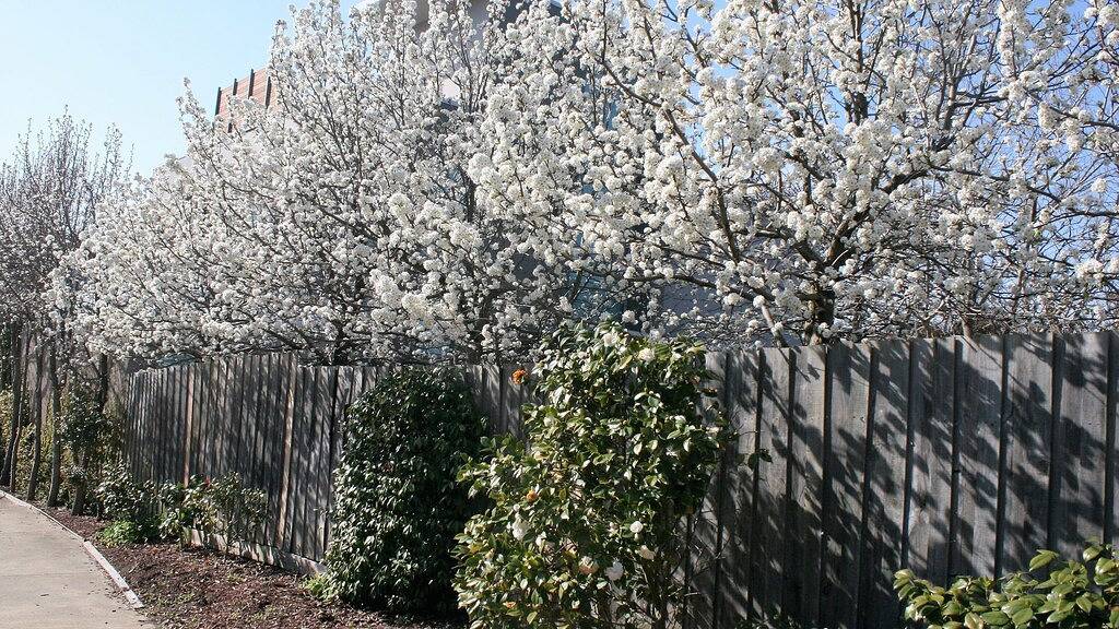 Ganze Wohnung, Mornington Beach Apartment - direkt gegenüber dem Strand mit herrlicher Aussicht. in Mornington, Mornington Peninsula