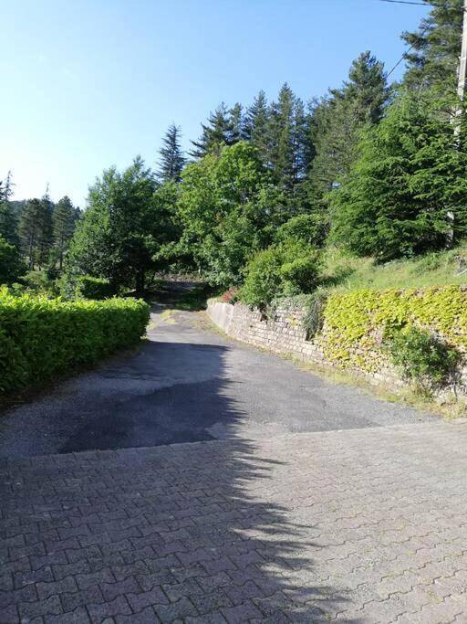 Gîte pour 3 personnes, avec jardin à Génolhac - 4