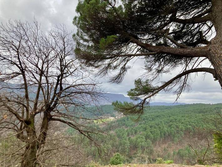 Location de vacances pour 2 personnes, avec jardin ainsi que vue et terrasse à Saint-Julien-des-Points