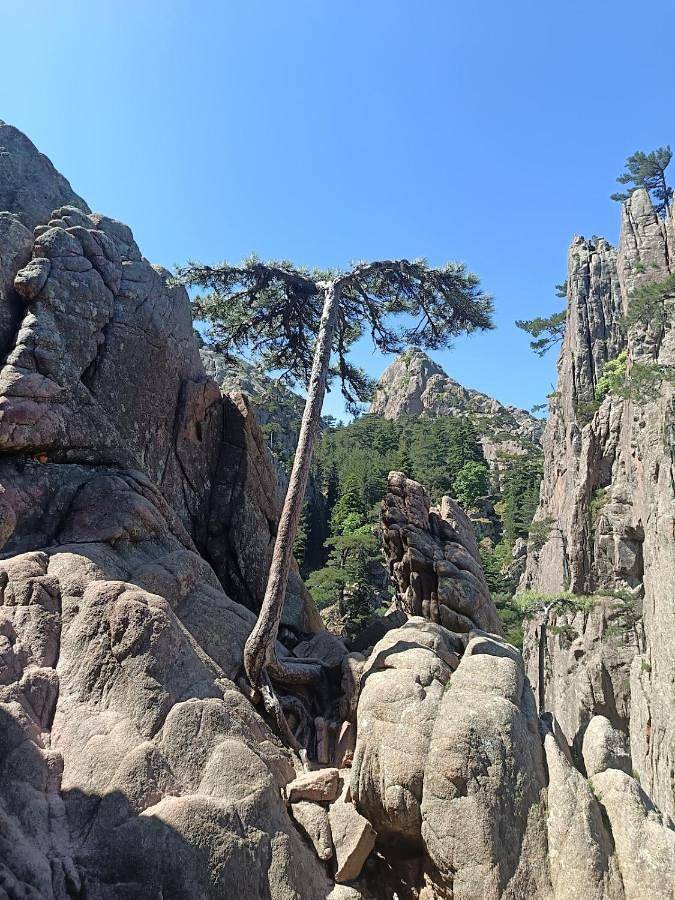 Location de vacances pour 4 personnes, avec vue et jardin à Sainte-Lucie-de-Tallano - 3