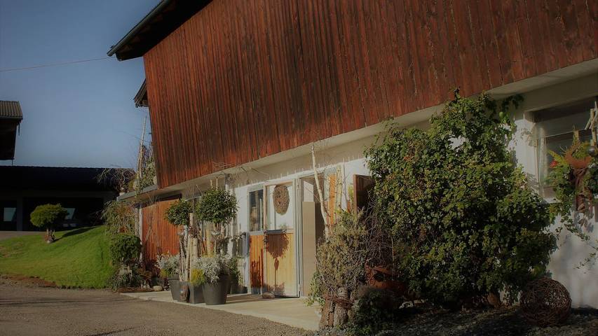 Ferienwohnung für 6 Personen, mit Terrasse in Mittersill - 4