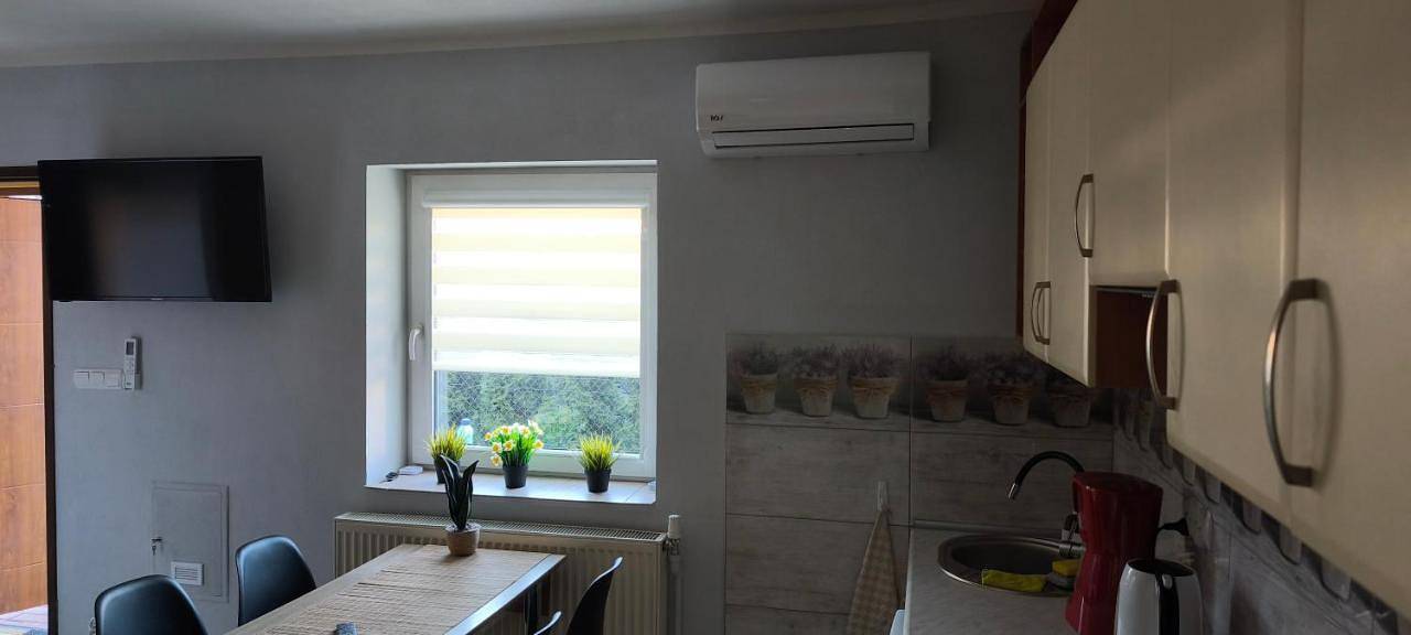 Cały apartament, Noclegi kawalerka apartament w centrum Dzierżoniowa podwórko grill wynajm krótkoterminowy in Dzierżoniów, Sudety (Polska)