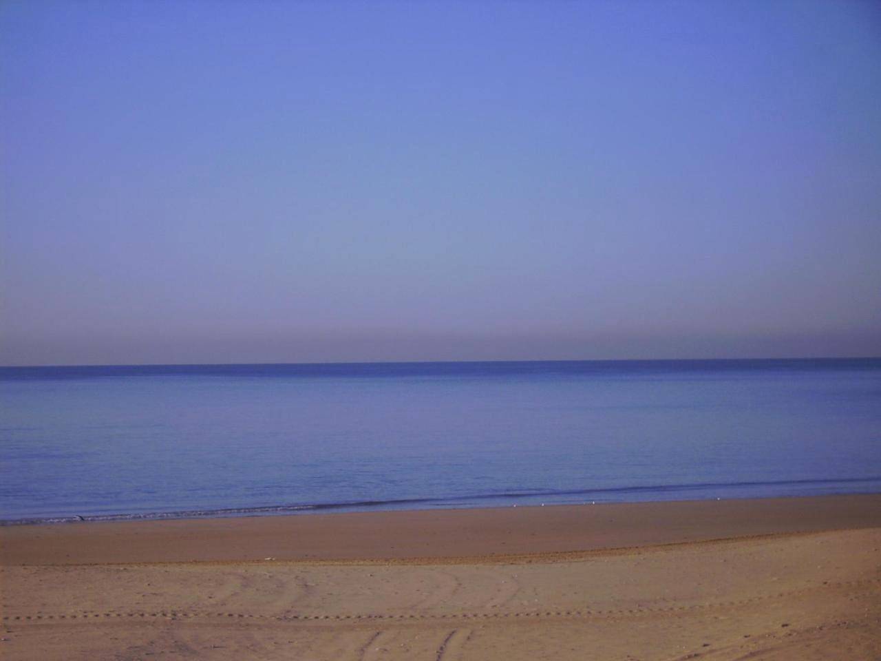 Hotel Macavi Playa in Playa de la Costilla (Rota), Rota