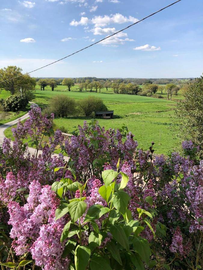 Chambre d’hôte pour 2 personnes, avec Terrasse ainsi que Jardin et Vue à Arnac-la-Poste