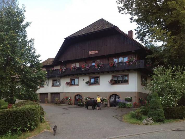 Ferme pour 5 personnes, avec jacuzzi et jardin à Zell am Harmersbach - 2