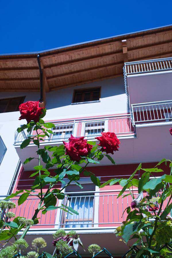 Appartement de vacances pour 5 personnes, avec vue et terrasse, animaux acceptés - 1