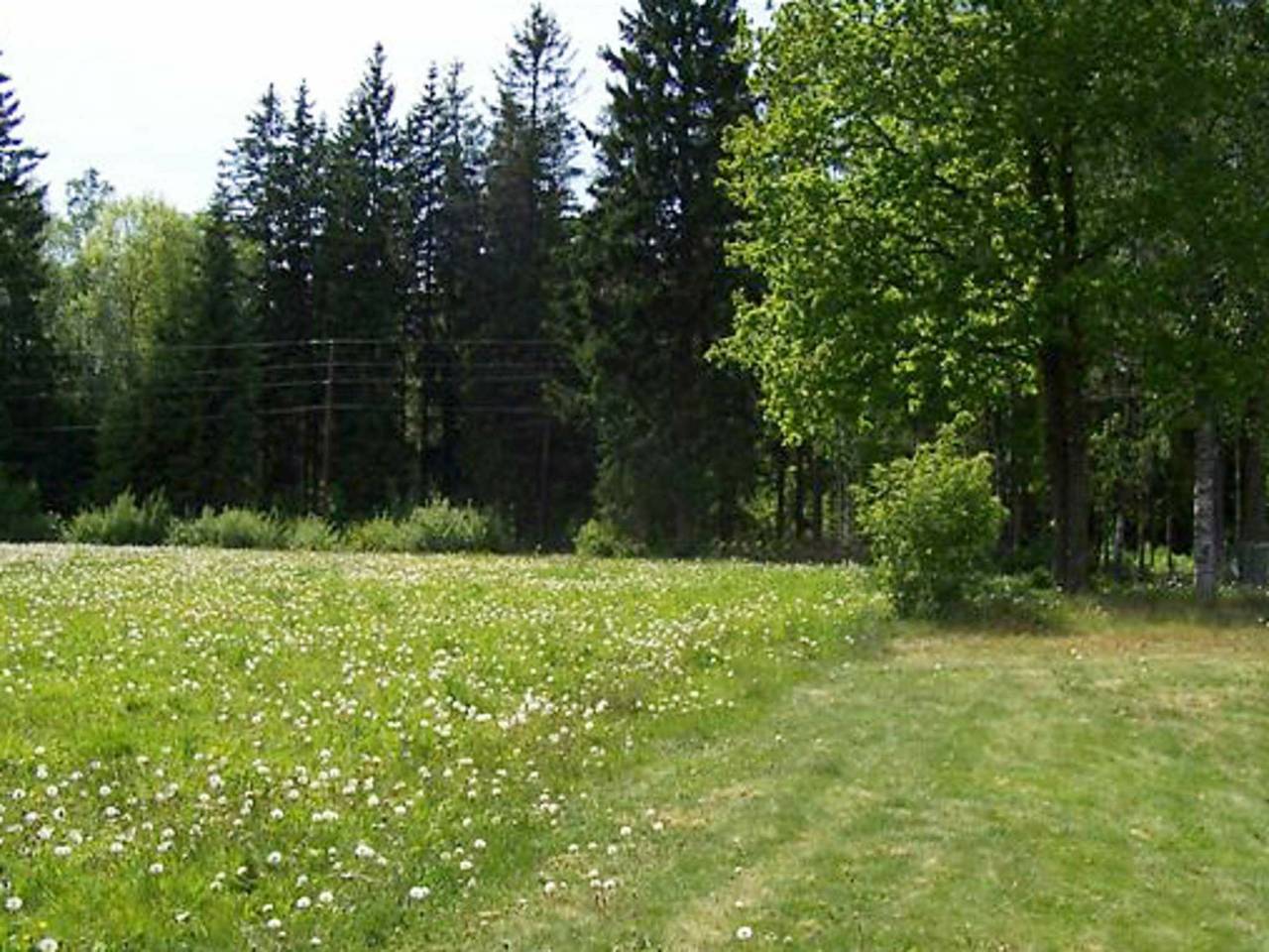 5 Personen Ferienhaus in Lammhult, Sverige in Aneboda, Kronoberg